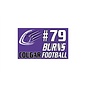 Central Cougars Footbal Flag -Personalized