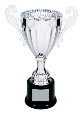 Brass Metal Trophy Cup, Size (Inches): 10 x10 x15 cm at Rs 250