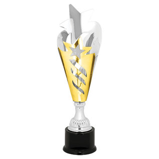 Silver & Gold Star Metal Cup Trophy on Base