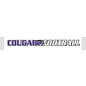 Central Football Car Decal Strip