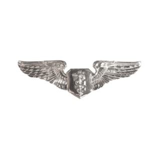 Flight Surgeon Wings Functional Badge