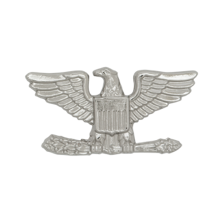 Air Force/Army O6 Rank Pin (Left)