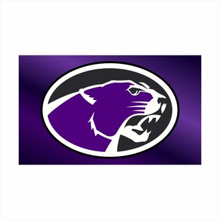 Central Cougar Head  Spirit Flag - 3x5