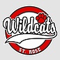 Car Decal - St Rose Elementary