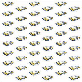 Tissue Paper - 20" Sheet (x5) - Aviston