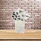 Tissue Paper - 20" Sheet (x5) - Graduate