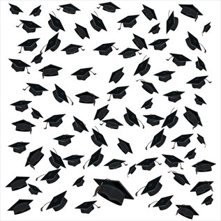 Tissue Paper - 20" Sheet (x5) - Graduate