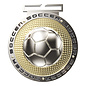 3" Dual Plated Medal -