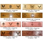 Morgan House Shadow Box in the shape of the Air Force Logo - Walnut Wings..3x5 Flag Size & Laser area at the top of display.