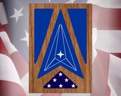 Space Force Shadow Boxes