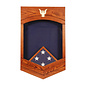 Morgan House US Navy /USCG CPO Shadow Box