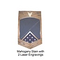 Morgan House US Navy /USCG SCPO Shadow Box