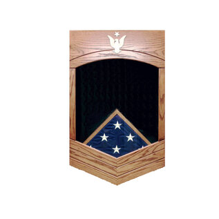Morgan House US Navy /USCG SCPO Shadow Box