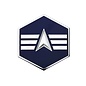 Space Force E4 Chevron Pin - Specialist 4