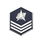 Space Force E5 Chevron Pin - Sergeant