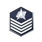 Space Force E6 Chevron Pin - Tech Sergeant