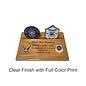 Morgan House MCD-01-O - Single Coin Flat Oak Display