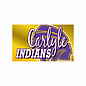 Carlyle Indians  Spirit Flag