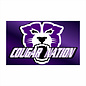 Central Cougar Nation Spirit Flag - 3x5