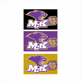 McKendree Spirit Flag