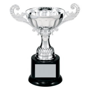 Completed Wide Metal Cup Trophy on Base