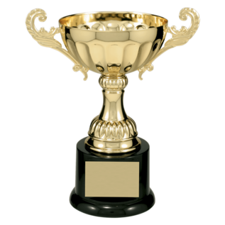Completed Wide Metal Cup Trophy on Base