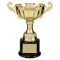 Completed Wide Metal Cup Trophy on Base