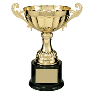 Completed Wide Metal Cup Trophy on Base