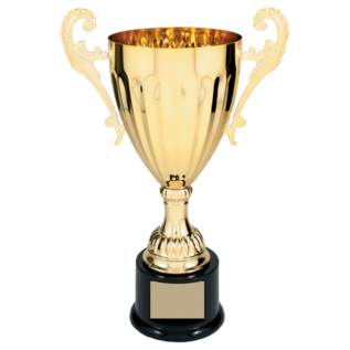 Completed Metal Trophy Cup on Plastic Base