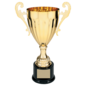 Completed Metal Trophy Cup on Plastic Base