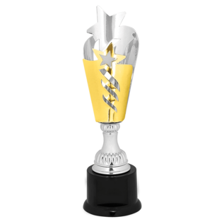 Silver & Gold Star Metal Cup Trophy on Base