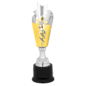 Silver & Gold Star Metal Cup Trophy on Base