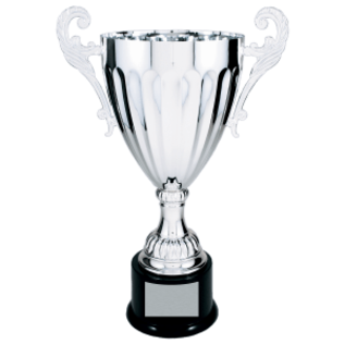 Completed Metal Trophy Cup on Plastic Base