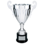 Completed Metal Trophy Cup on Plastic Base