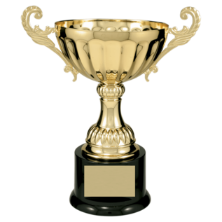 Completed Wide Metal Cup Trophy on Base