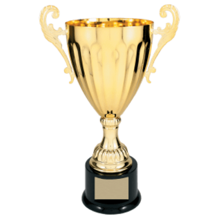 Completed Metal Trophy Cup on Plastic Base