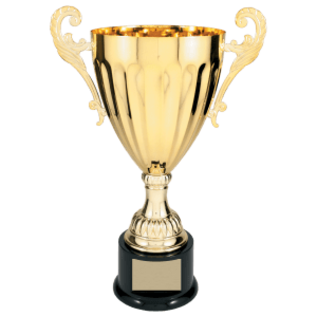 Completed Metal Trophy Cup on Plastic Base