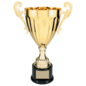 Completed Metal Trophy Cup on Plastic Base