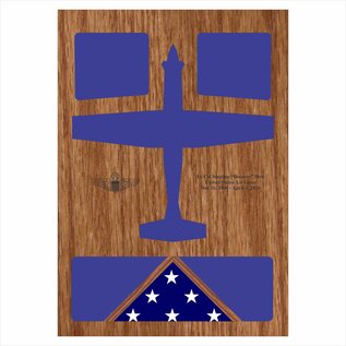 Morgan House Shadow Box in the shape of a T-6 Aircraft..3x5 Flag area