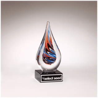 Teardrop Art Glass Award on Black Glass Base