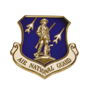 Air Force Air National Guard Pin – Official ANG Lapel & Shadow Box Pin (1 1/8")