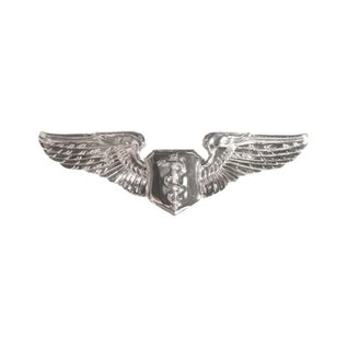 Flight Nurse Wings Functional Badge