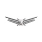 Space Wings Functional Badge