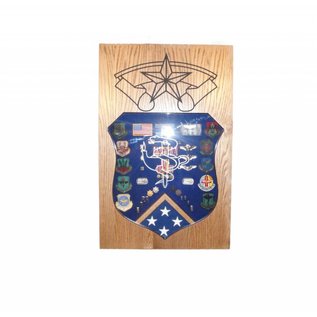 Morgan House Medical Badge Shadow Box