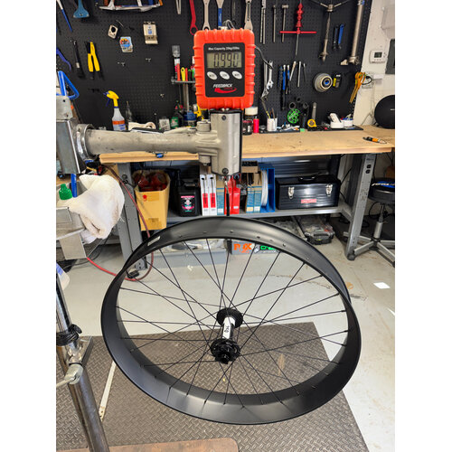Nextie 26", 85W, Carbon, Fat Wheelset, DT Swiss 350, HG Nextie 26", 85W, Carbon, Fat Wheelset, DT Swiss 350, HG