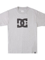 DC Shoes DC STAR HSS M TEES ADYZT04985