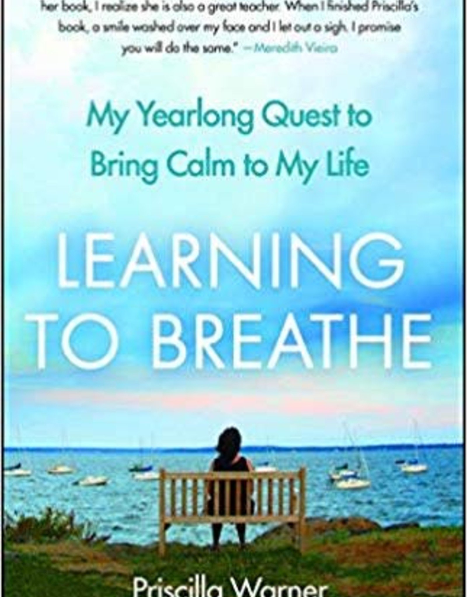 Integral Yoga Distribution Learning to Breathe