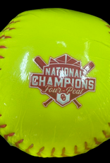 Logo 2024 National Champion Official Softball