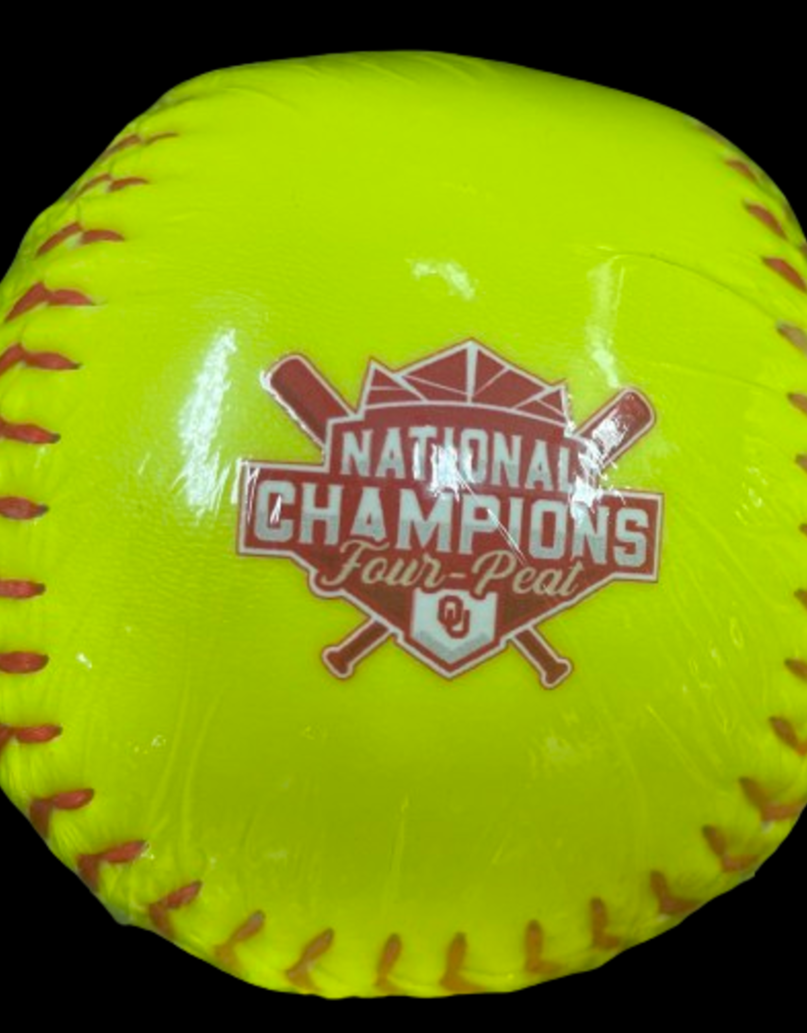 Logo 2024 National Champion Official Softball