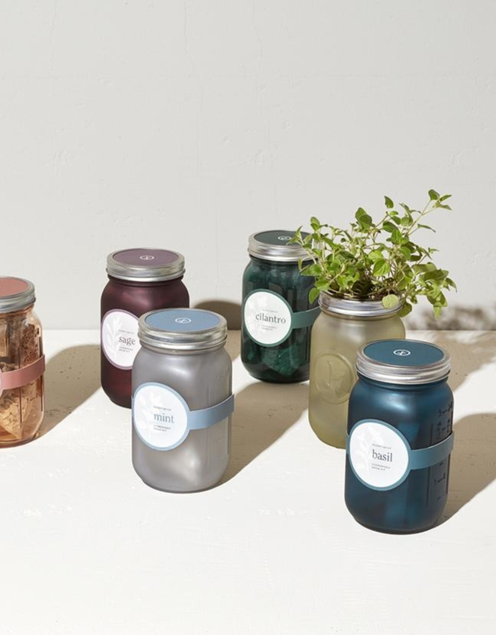 Modern Sprout Garden Jars